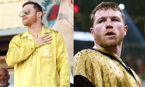 cuanto le paga dolce gabbana a canelo|Cuánto vale el sofisticado ‘outfit’ Dolce & Gabbana con  .